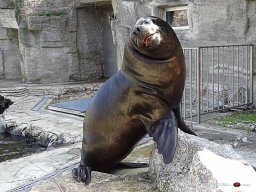 Tiergarten Schönbrunn am 23.03.2023